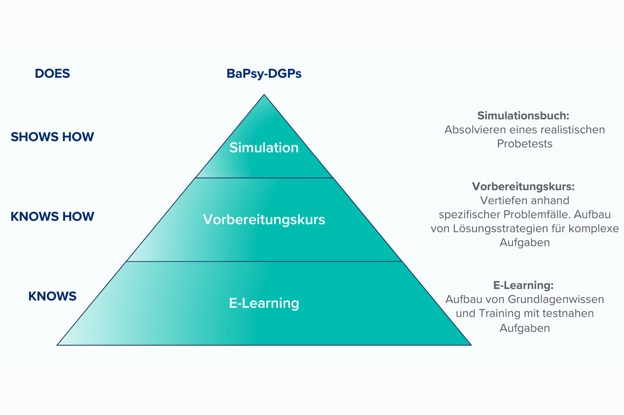 Darstellung des BaPsy Vorbereitungskonzepts als Pyramide.